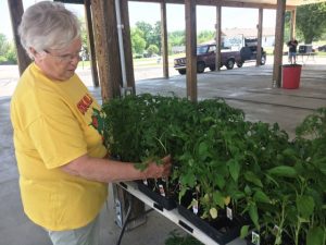 Connie Tjarks at the Farmers Market last Saturday