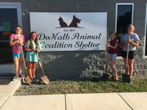 Girl Scout Troop Takes on Landscaping Project at Animal Shelter