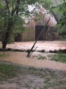 Caplinger Hollow Road, Liberty : Photo by Crystal Neal who said "Our two dogs got trapped in the barn. The water rose so quickly we couldn’t cross to get them. Luckily they are both ok".