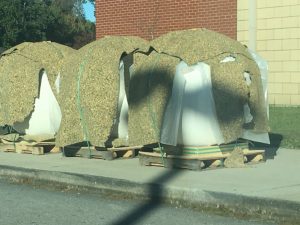 Safety sphere bollards stored at Northisde Elementary School will soon be placed in front of all local elementary schools as a barrier to help enhance school security