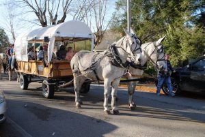 Middle Tennessee Muleskinners Grady and Carol George of Woodbury with their entry in Liberty Christmas Parade