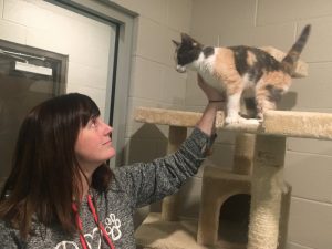 Take a Video Tour with WJLE at the DeKalb Animal Shelter with Director Megan Moore and employee Emmaly Bennett