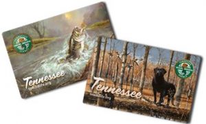 TWRA Customers can purchase a collector’s card for any annual license. This waterproof, durable card features paintings by Tennessee artists. Customers may choose between a largemouth bass or a waterfowl hunting scene featuring mallards and a retriever