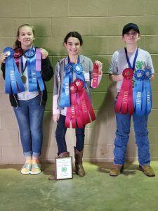 The Junior High Team of Shaelee Foster, Hannah Redmon, Riley Fuson, and Kolton Slager (not pictured) won 1st place the regional horse judging contest. Hannah was 2nd high individual and Shaelee placed 7th.