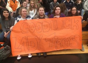 DCHS students show support for Lady Tigers during Tuesday afternoon pep rally