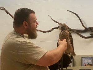 Edgar Evins State Park Manager Brad Halfacre shows off “Bentley” a Red-Shouldered Hawk during Thursday’s Summer Reading Club Program at Justin Potter Library