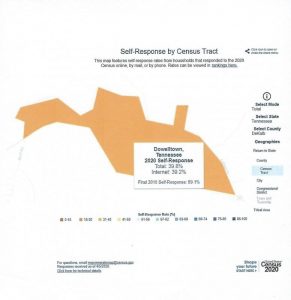 2020 Dowelltown Census Response Rate