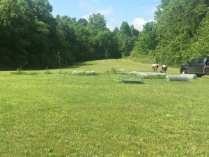 Work has begin on the development of a dog park behind the DeKalb Animal Shelter on Transfer Station Road just off Highway 70 east in Smithville near Tenneco Automotive. J & A Fencing of Smithville was on site Friday erecting a fence around the property.