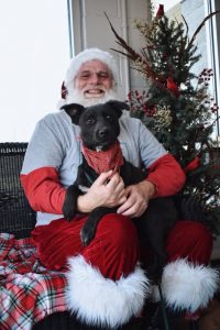 The joy of Christmas is giving so why not let “Flapjack” give his love to you? “Flapjack is the WJLE/DeKalb Animal Shelter featured “Pet of the Week”