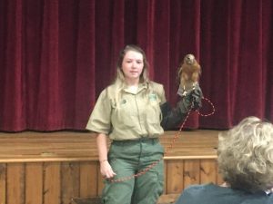 Mason Robinson, Seasonal Interpretive Park Ranger at Edgar Evins State Park brought in a live red shouldered hawk for the children to see last Thursday on final day of Library Summer Reading Program at the County Complex