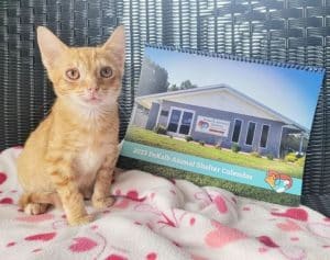 DeKalb Animal Shelter Selling 2023 Calendars as Fundraiser for Spay and Neuter Voucher Program