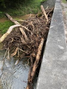 Debris clogs waterflow underneath bridge on Seven Springs Road