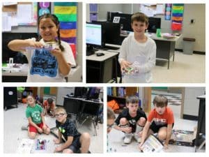 LEAPS program activities at NES