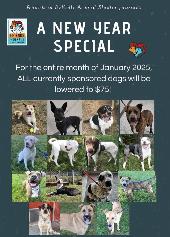 New Year Special from the Friends of the DeKalb Animal Shelter